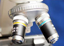 Lifesciences