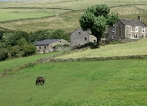 Rural